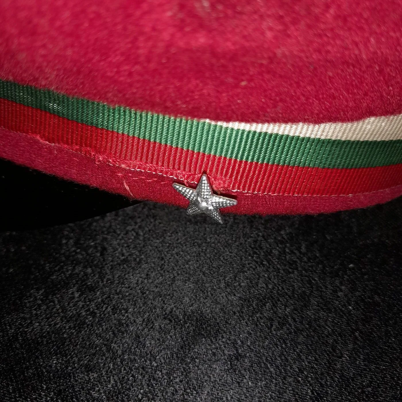 Socialist Youth cap — 5