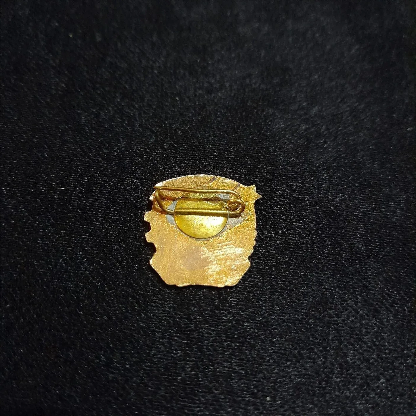 DKMS badge — 2