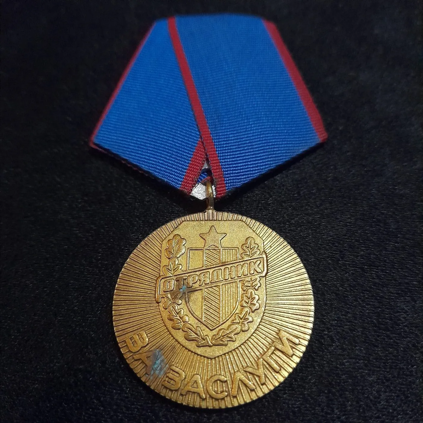 Merit medal of the Voluntary Detachments of the Working People