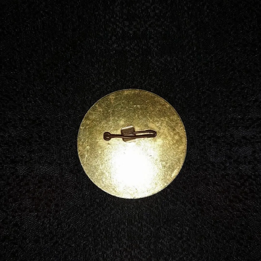 Commemorative badge of the "Shield 82" exercise — 3