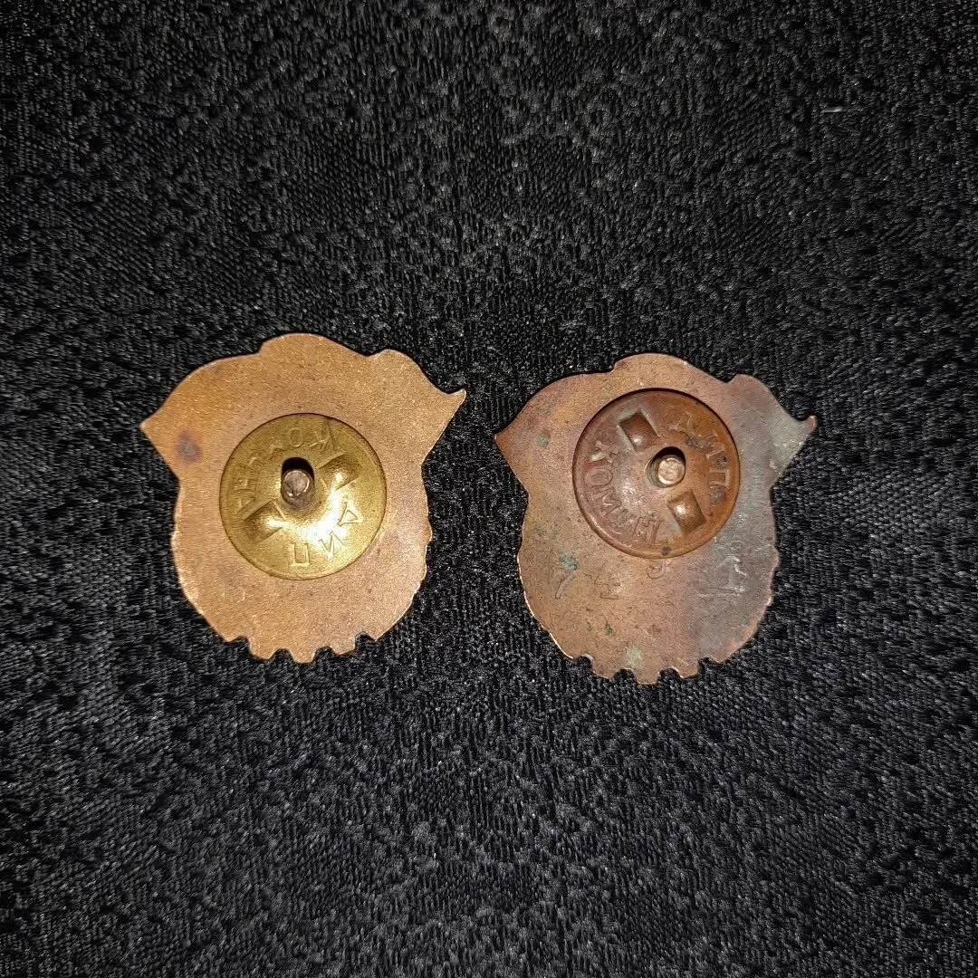 Two sports badges — 5