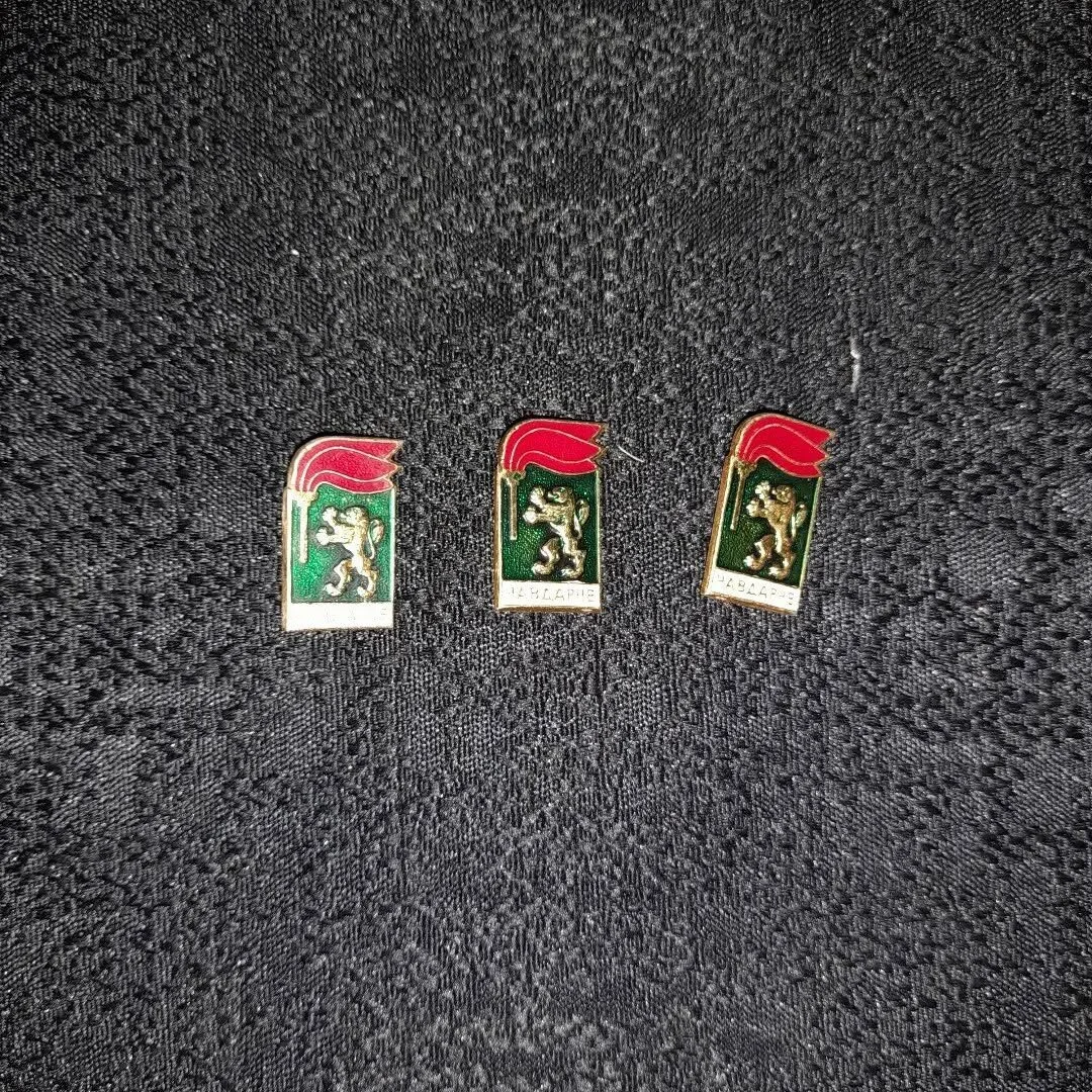 Badge of the chavdarche youth organisation