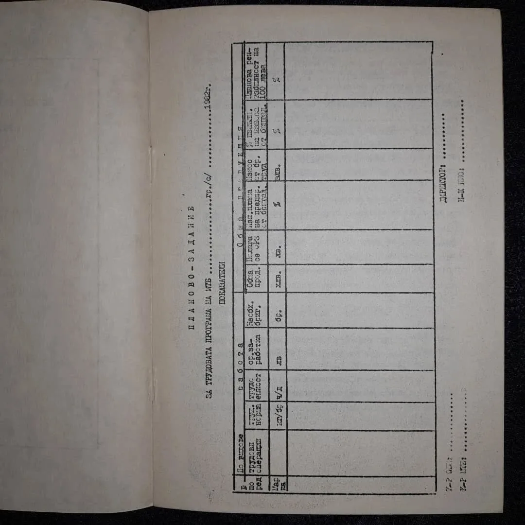 Youth brigade employment contract — 3