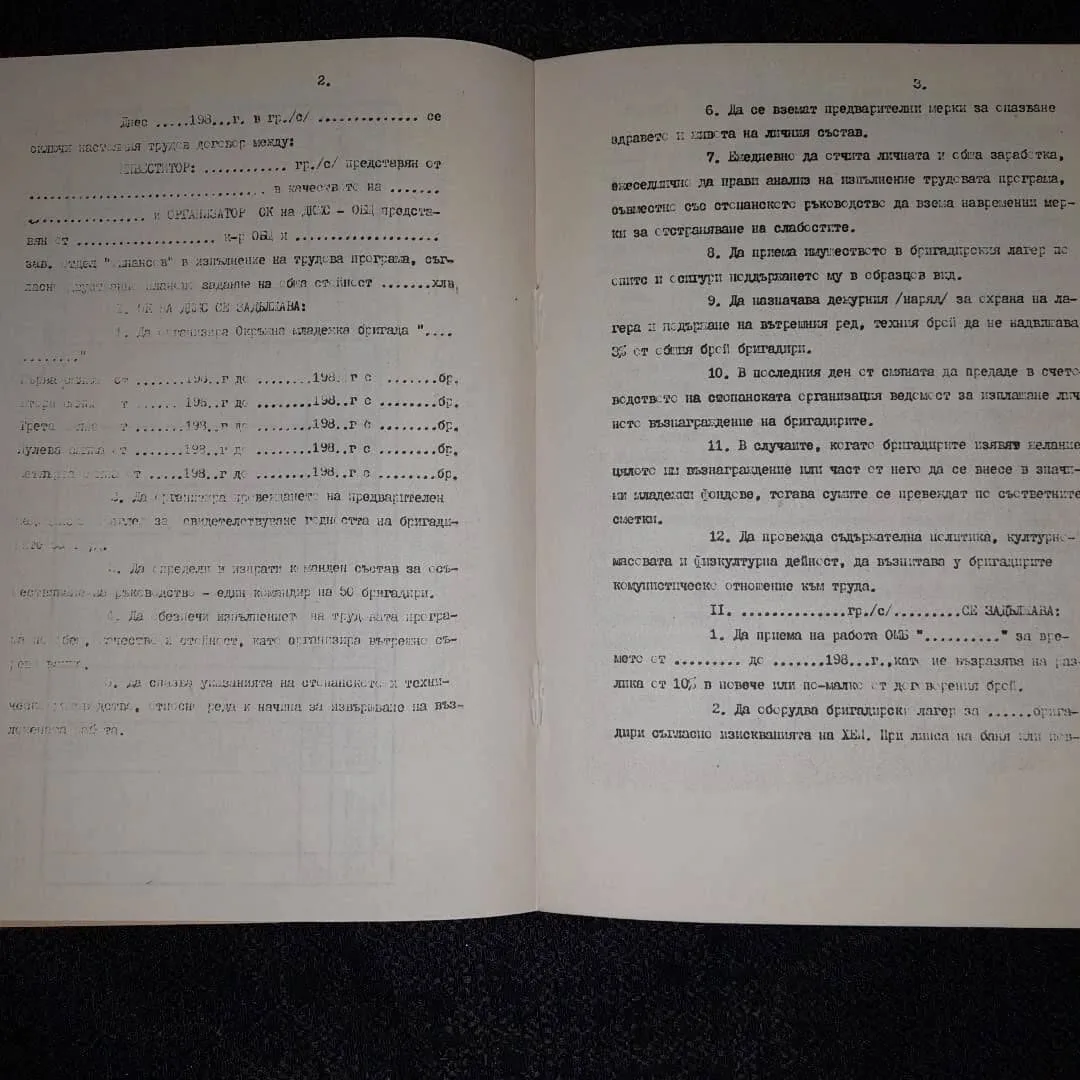 Youth brigade employment contract — 4