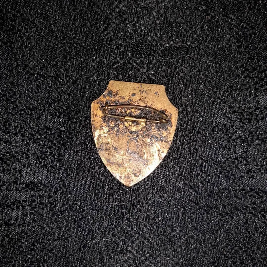 "Otryadnik" badge of the voluntary detachments — 3