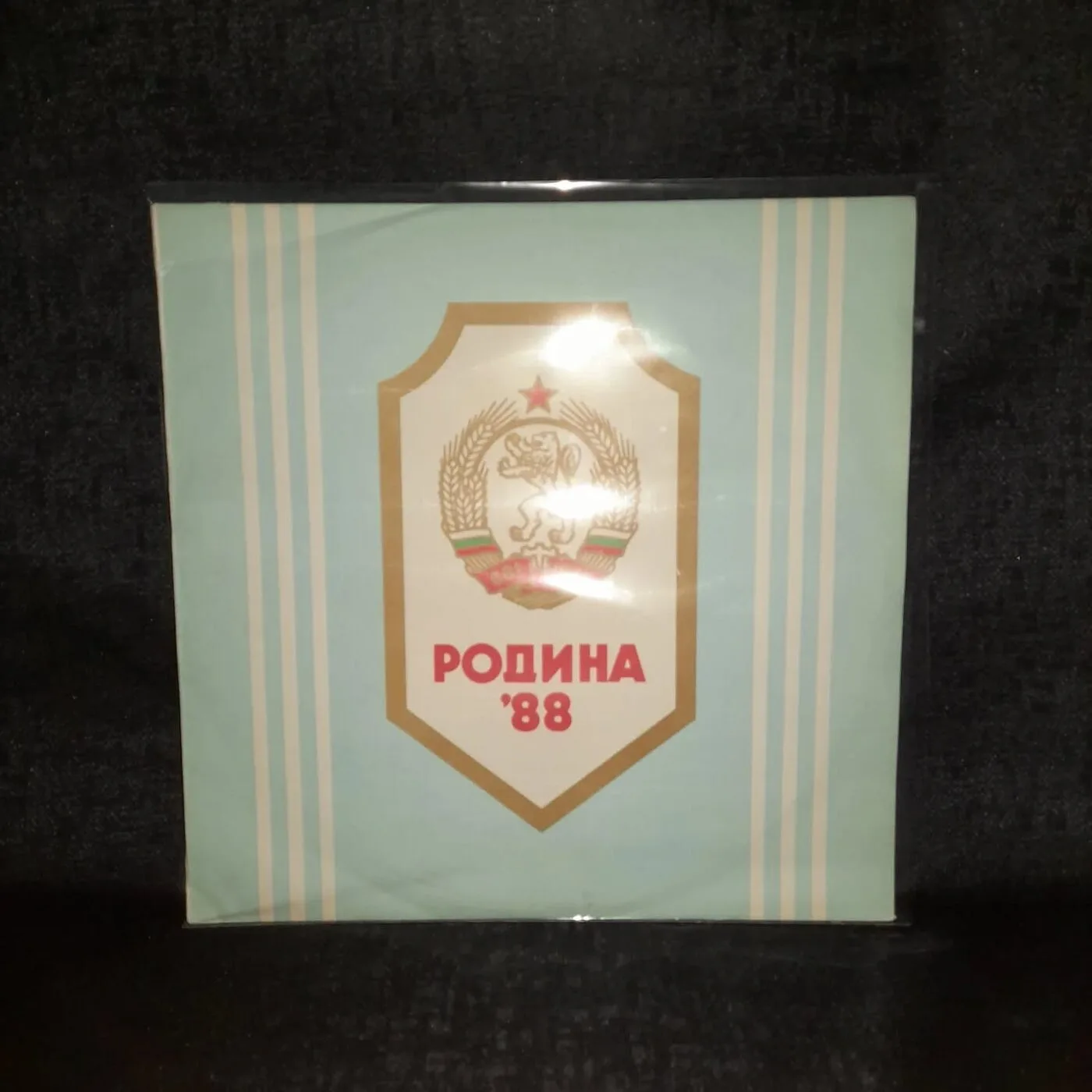 Vinyl recording "Rodina 88"