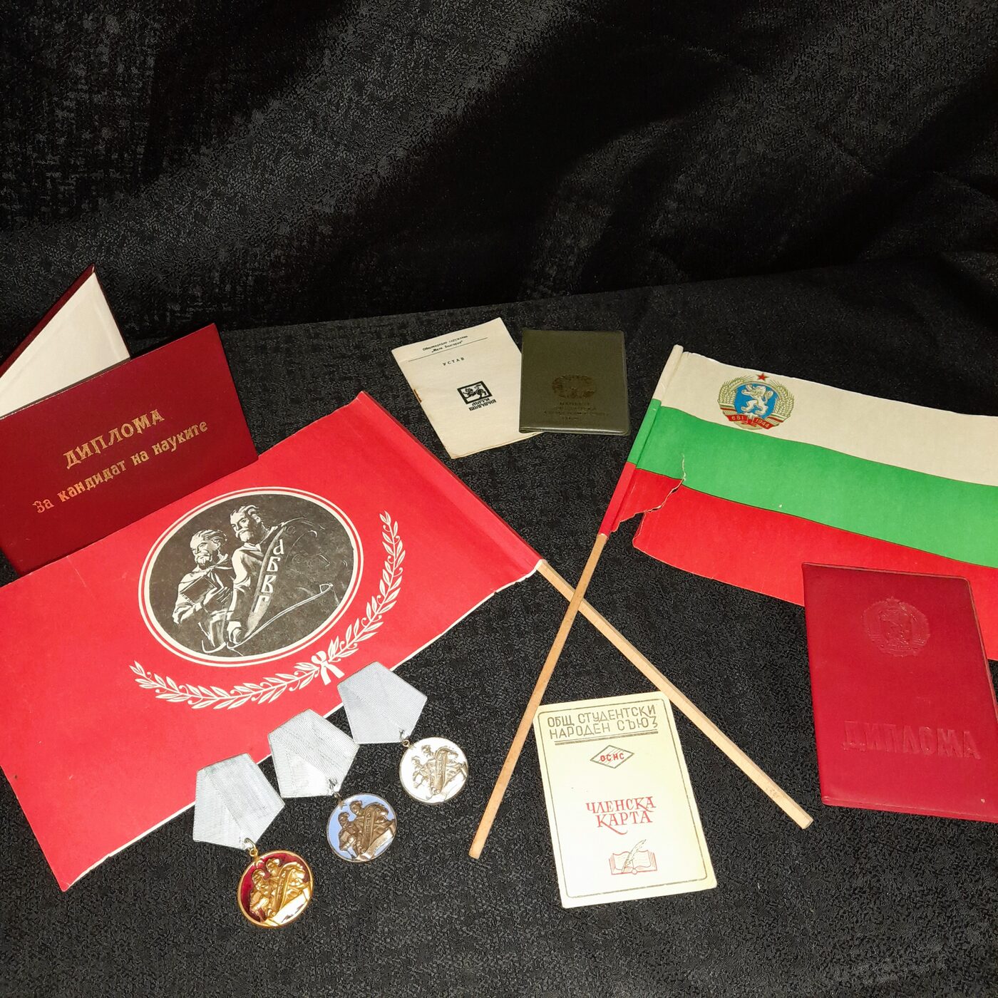 Candidate of Sciences diploma, membership card of the General People's Union of Students, statutes, medals and flags